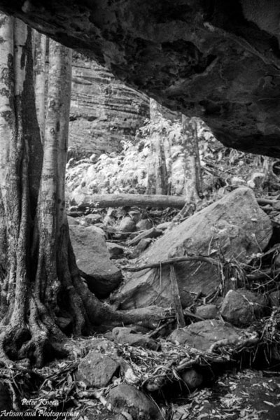 Bundanoon Walk - Morton National Park