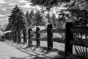Morton National Park Walk - Infrared image of Wooden Fence