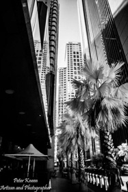 Sydney CBD High Rise Buildings