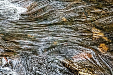 Surface flow in a Mountain Stream
