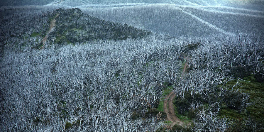 Blue Rag Fire Trail Victorian High Country