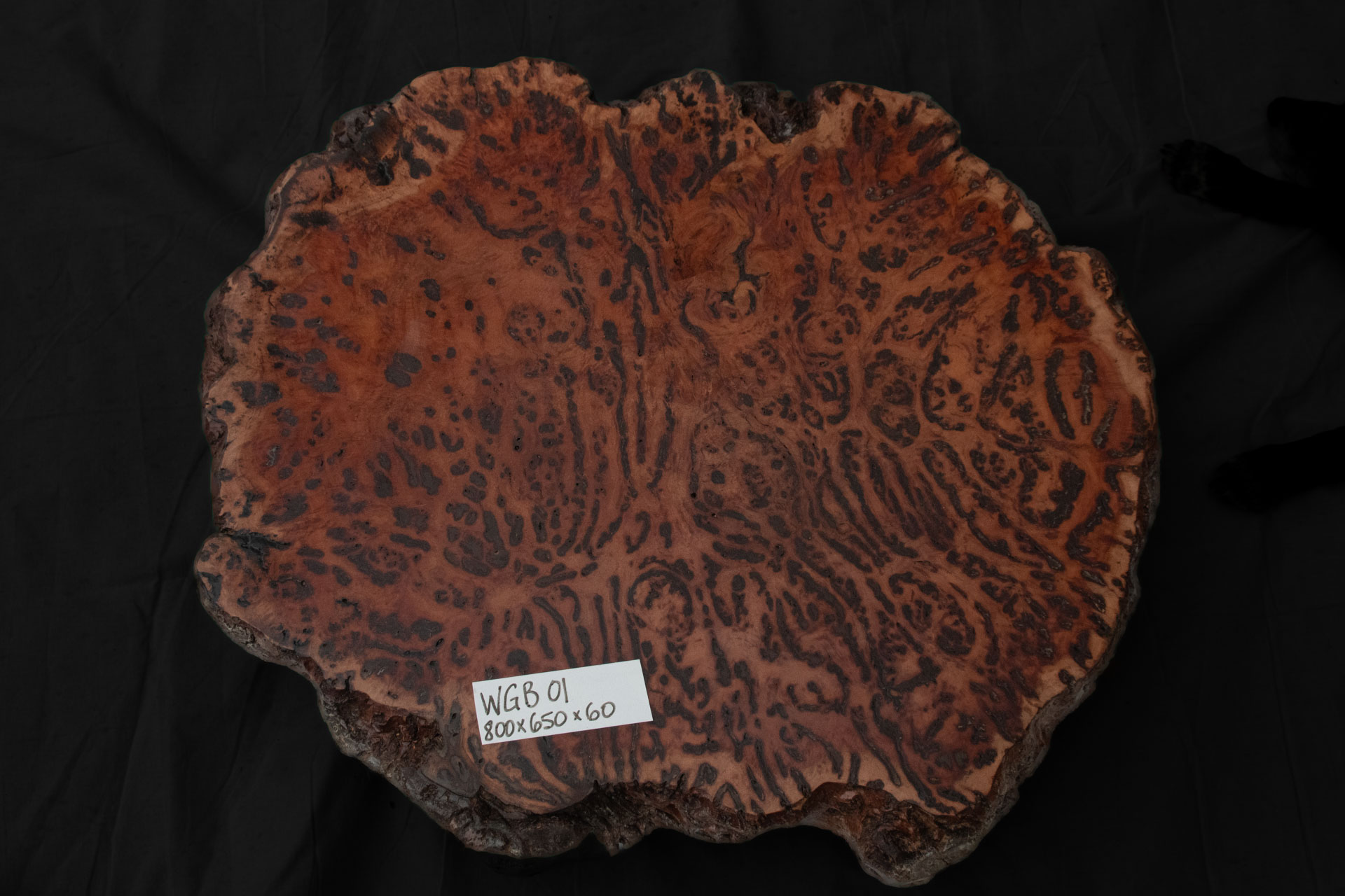 Richly Veined Red Gum Burl