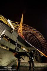 DPics33