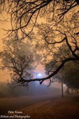 DPics43