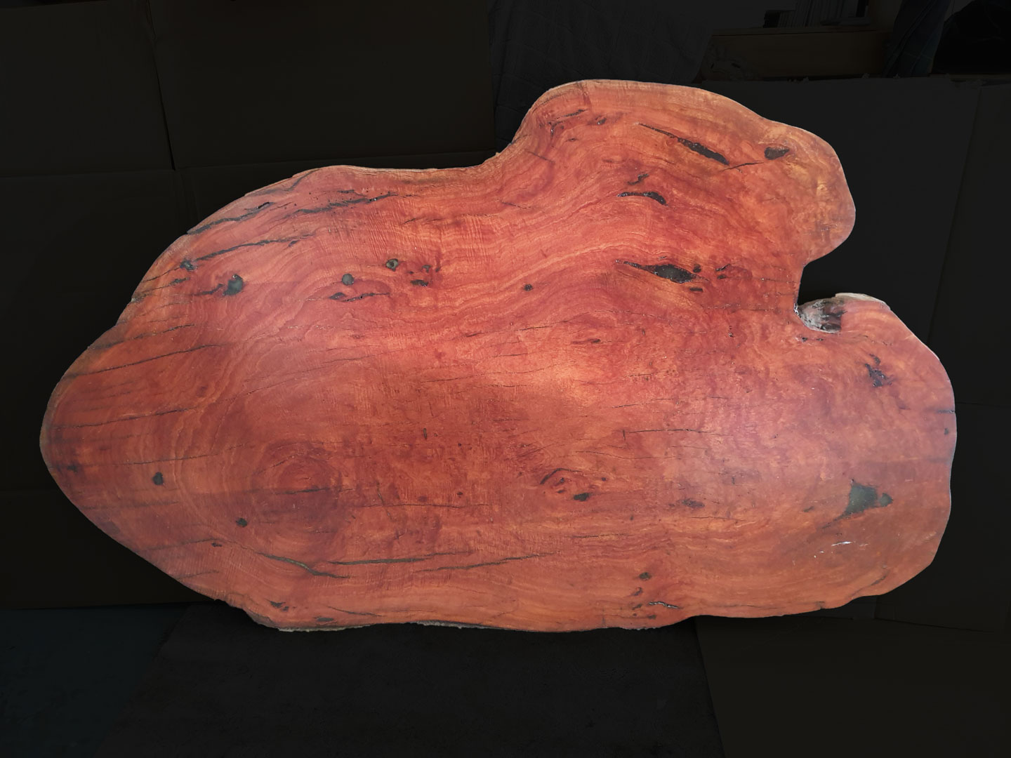 Large River Red Gum Slab for Dining Table
