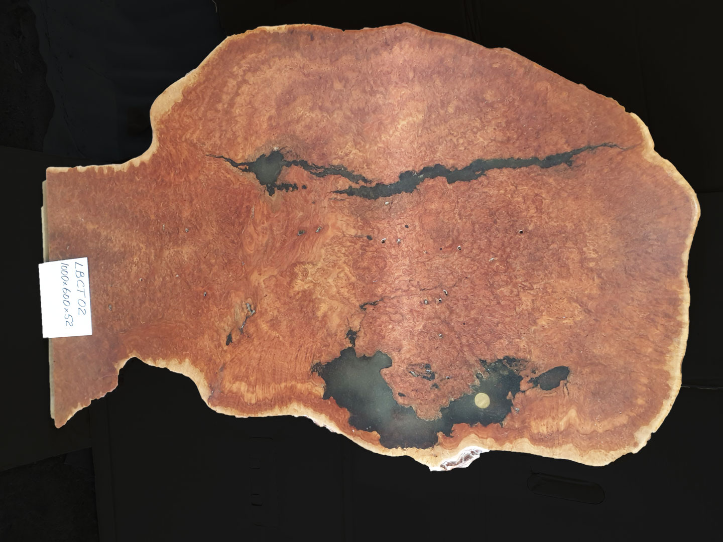 Large Burls for Substantial Coffee or Display Table