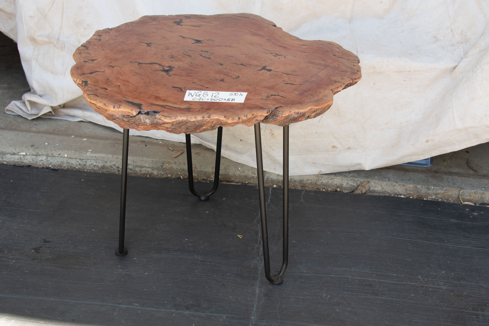 Medium Sized Elliptical Live Edge Burl for a Coffee Table